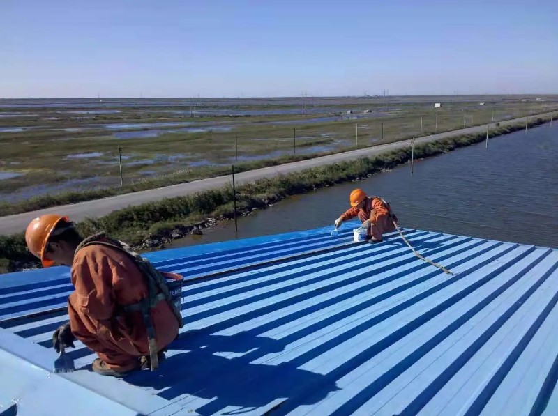 上蔡彩钢瓦屋面防腐翻新